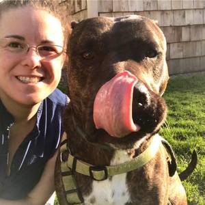 Meet your Posher, Shelley